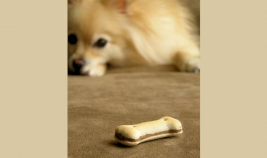 Paciência tem limite!